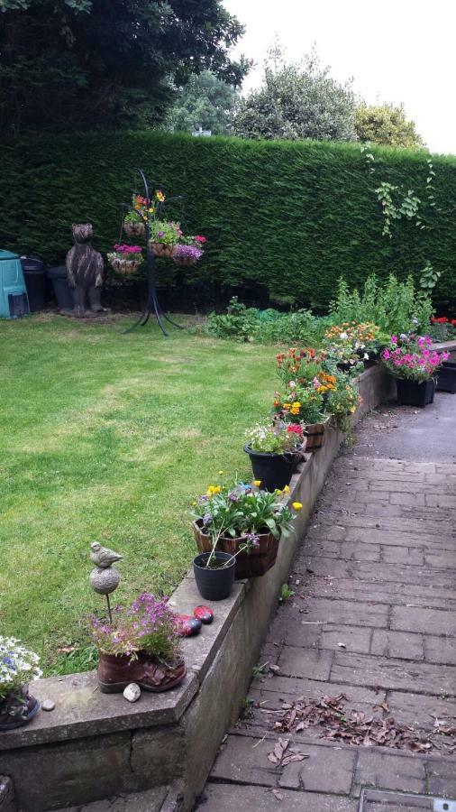 Fernlea Homestay Aberystwyth Exterior foto
